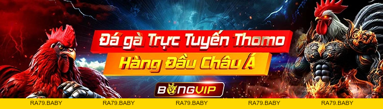 Bài cào – Trò chơi dân gian dễ chơi và thú vị nhất 2026 - RA79