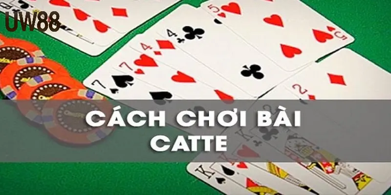 Cách chơi bài Catte Online và mẹo chơi game hiệu quả - RA79