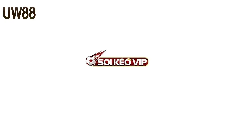 Soi Kèo VIP UW88 – Kinh Nghiệm Bắt Độ Thắng Trong Lần Đầu - RA79